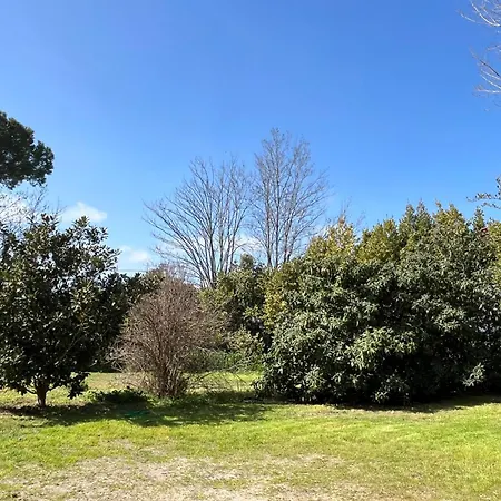 Appartamento Sulla Via Del Mare Grosseto Esterno foto